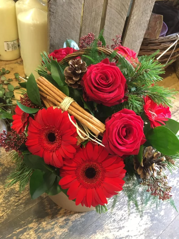 Main product 2611015 1669998931