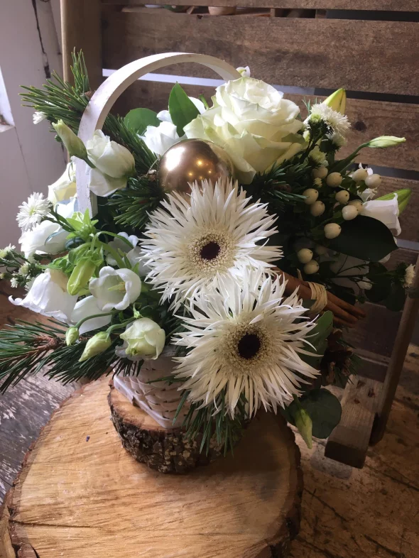 Main product 2611027 1670000238