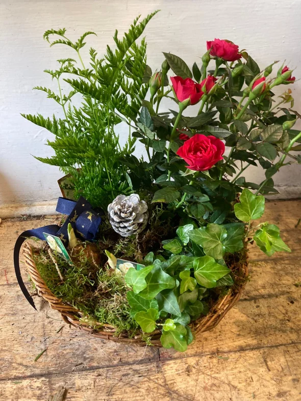 Main product 2613699 1670683543