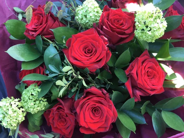 Main product 2628897 1675104212