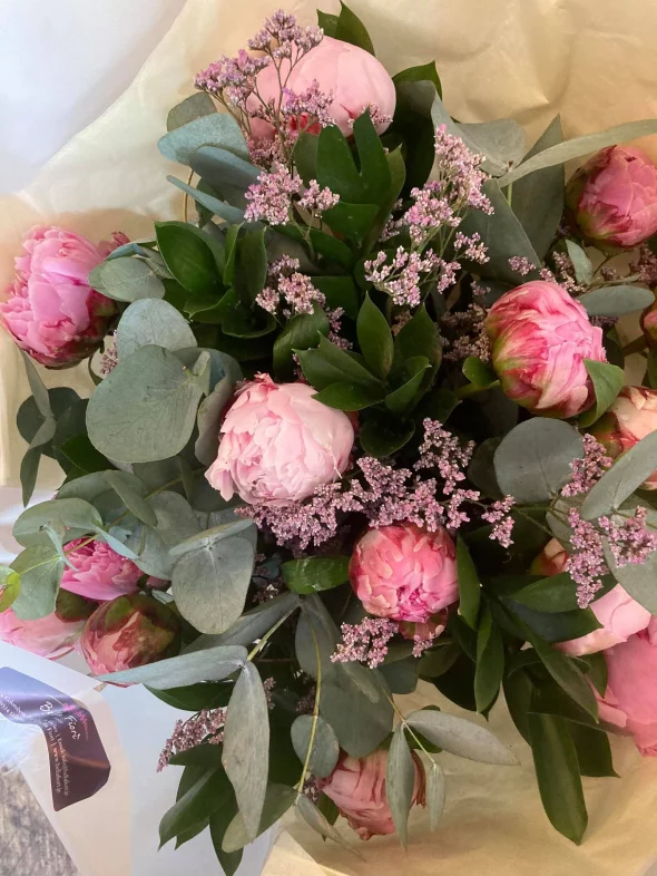 Main product 2707401 1685456920