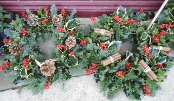 Main product 2774801 1700056209