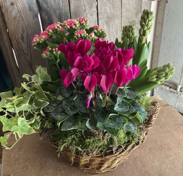 Main product 3104361 1730295925