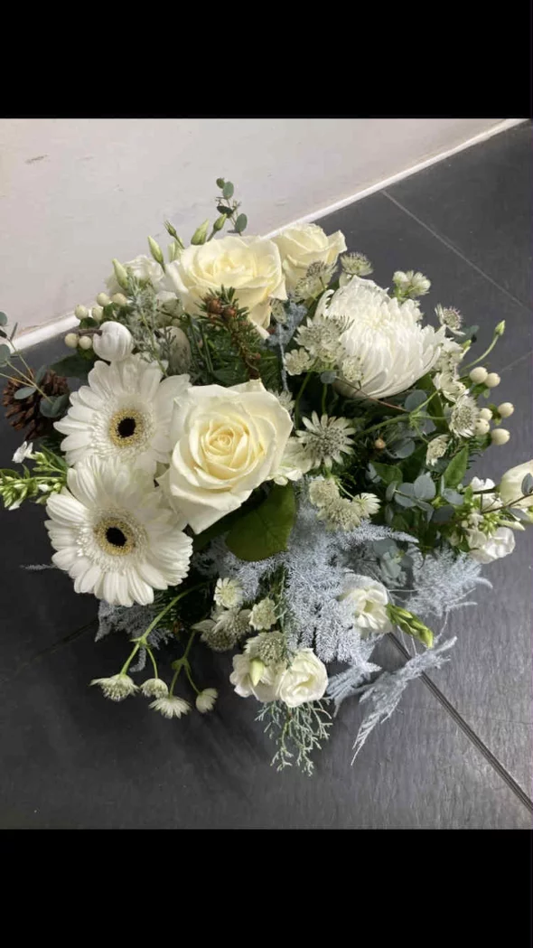 Main product 3522736 1767023764