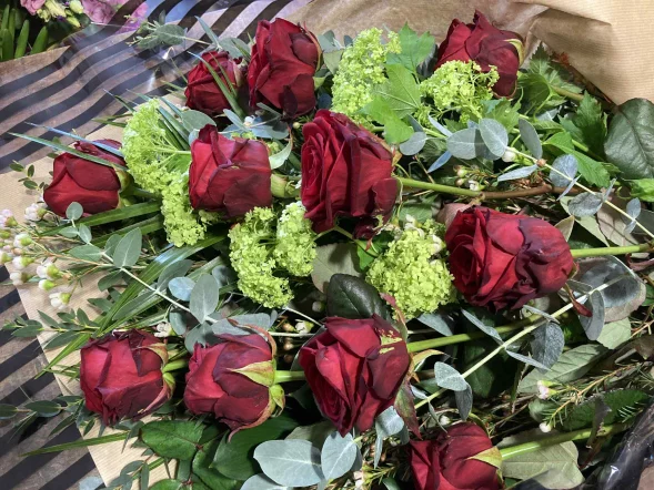 Main product 3526051 1768148966