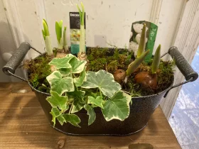 Mixed Bulb Zinc Trug