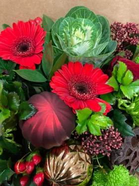 260508391 1055588548625749 8018346449436206288 n