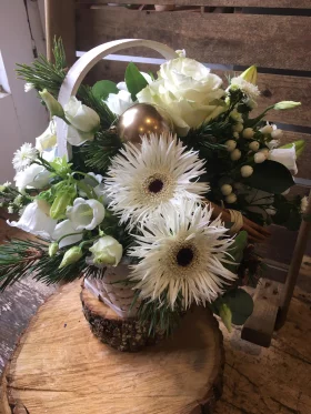 120948310 396294361383941 9072765109129891010 n