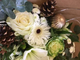 121058097 386941309130343 8701988865018012812 n