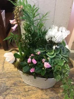 Thumb product 2485277 1645698258