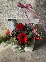 Thumb product 3507681 1763494945