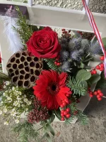 Thumb product 3507691 1763494961