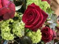 Thumb product 3526056 1768148970